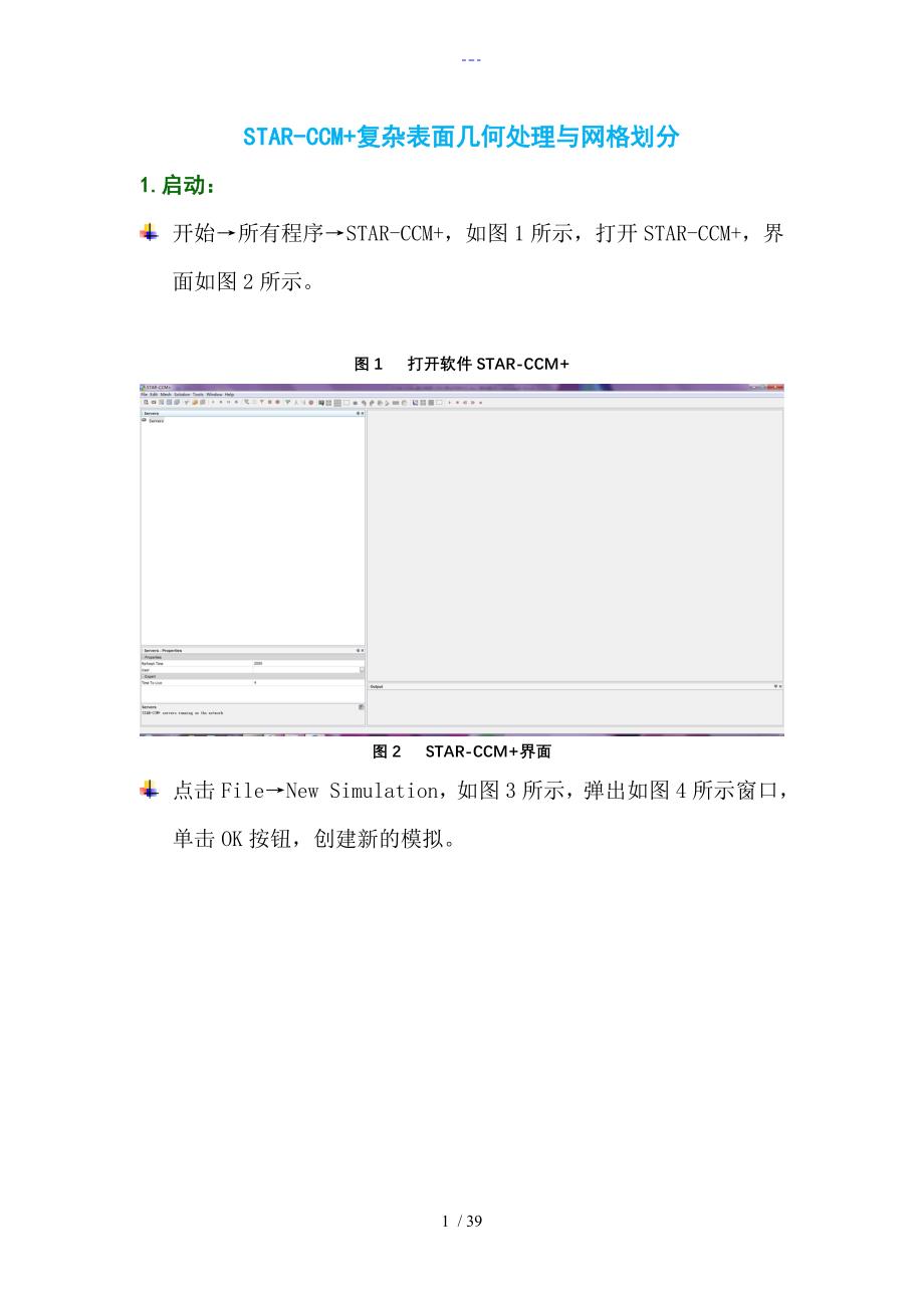 STAR_CCM+复杂表面几何处理和网格划分_第1页