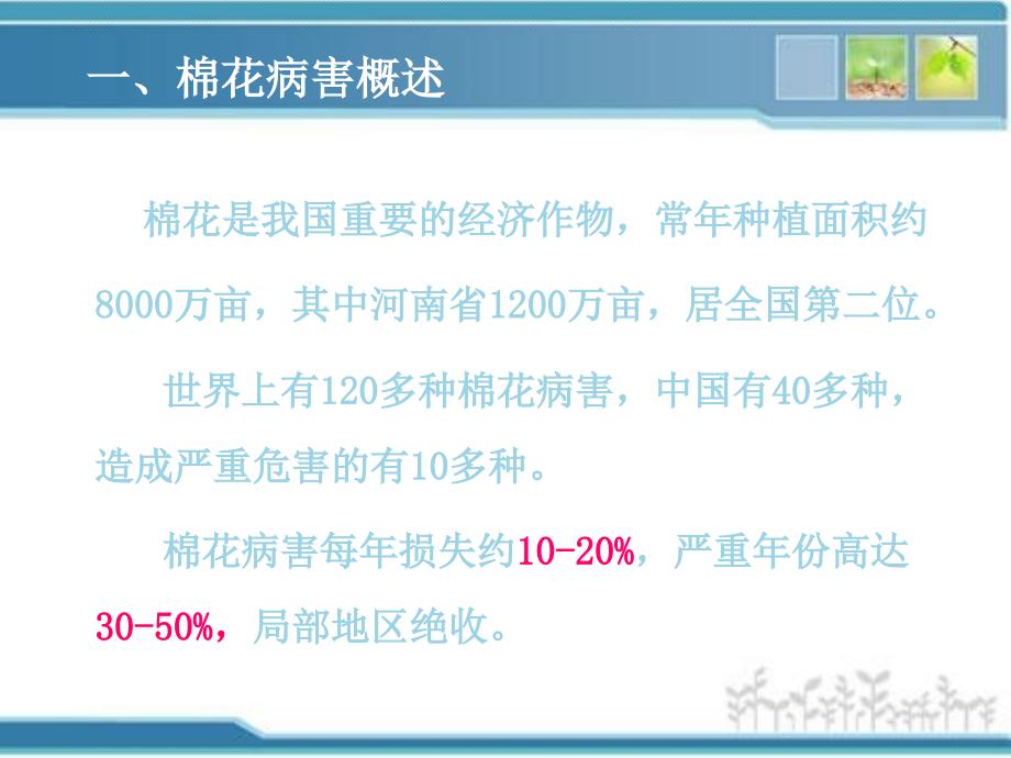 棉花西瓜病虫害防治及套种技术_第1页