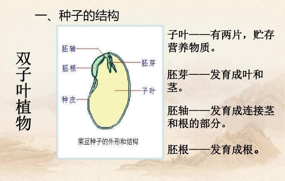 生物圈中的绿色植物富源县第六中学侯汝翠_第5页