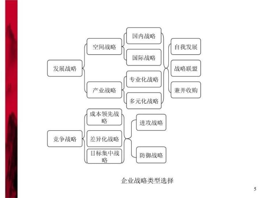 最新发展战略选择PPT课件_第5页