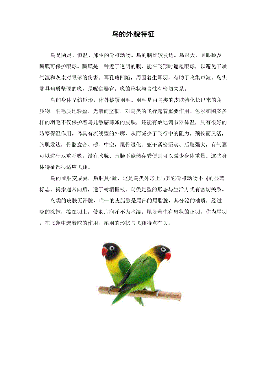 鸟的外貌特征_第1页