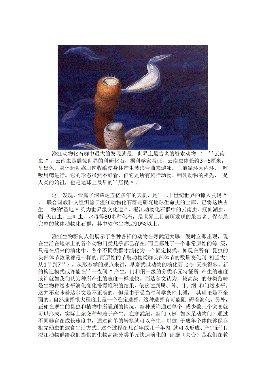 澄江软体动物化石群_第3页