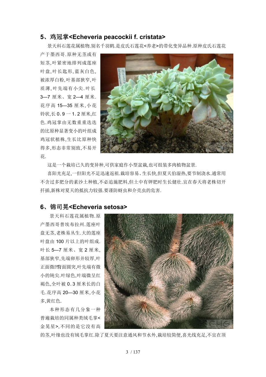 多肉植物习性及栽培要领大全_第3页