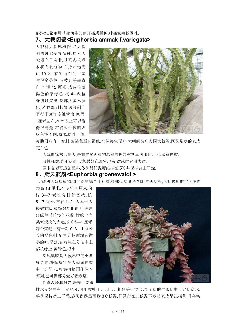 多肉植物习性及栽培要领大全_第4页