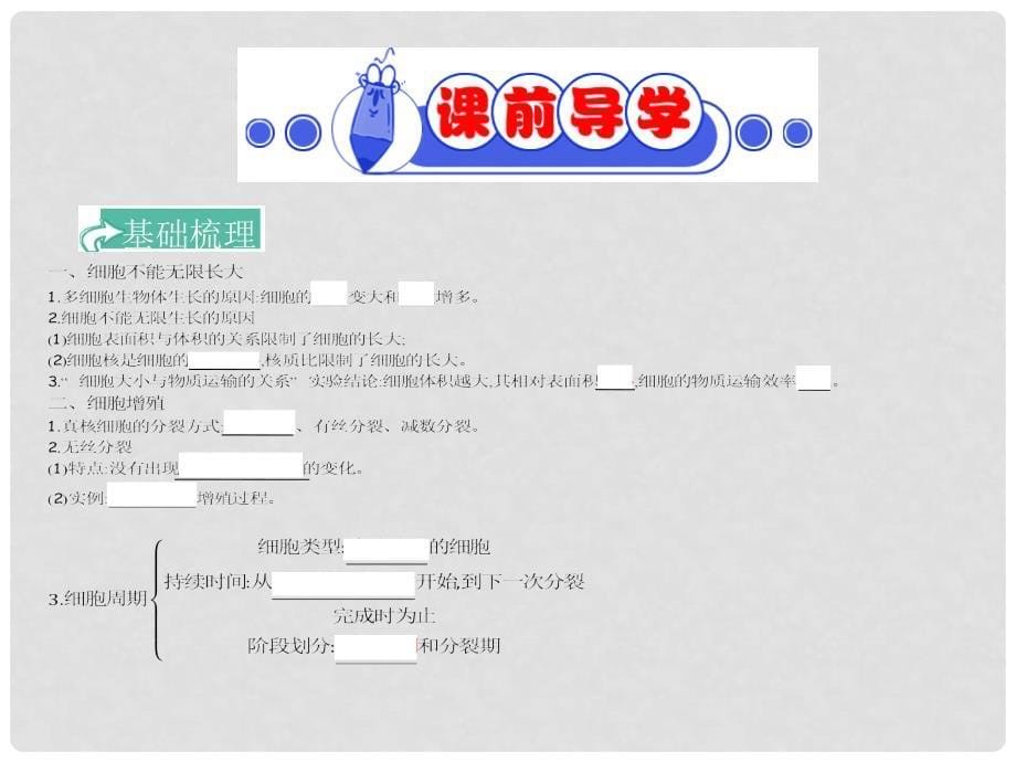 四川省成都市高考生物 第六章 细胞的增殖课件（必修1）_第5页