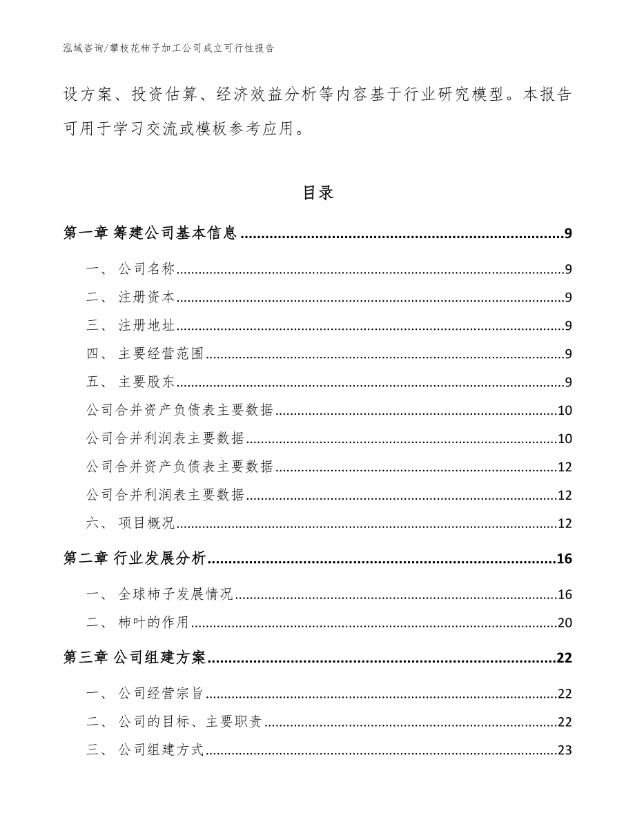 攀枝花柿子加工公司成立可行性报告（范文参考）_第4页