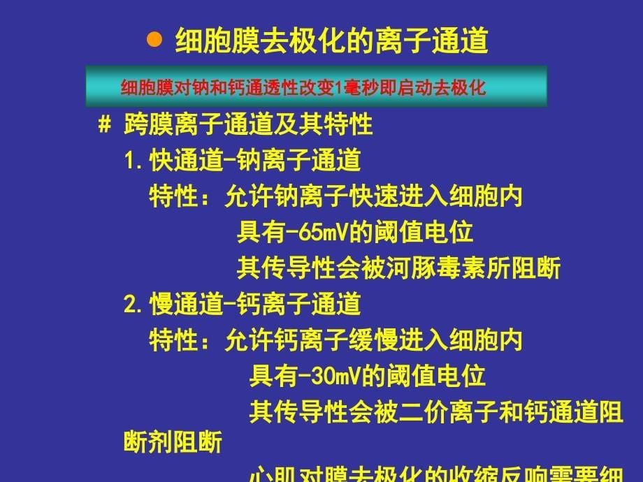 围手术期心律失常的课件_第5页