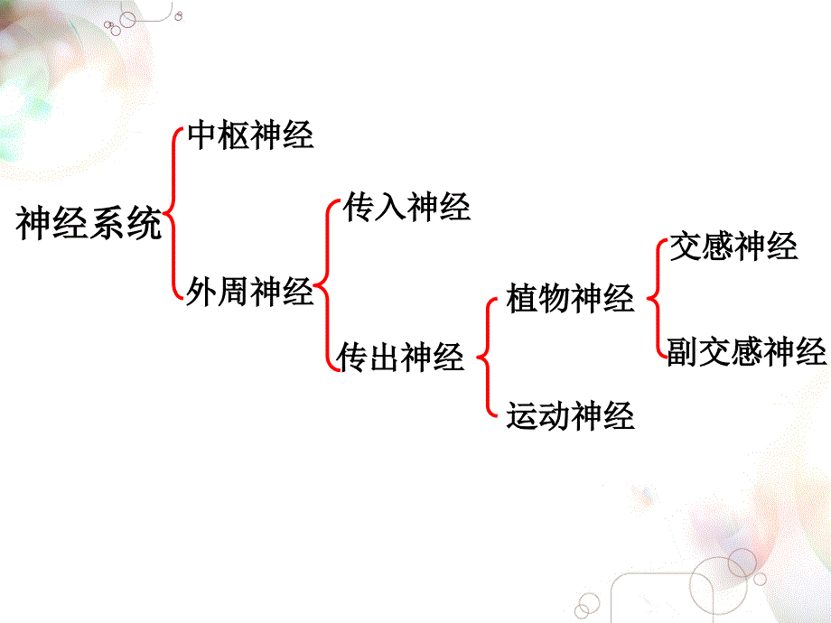 六拟胆碱药与抗胆碱药制剂_第3页