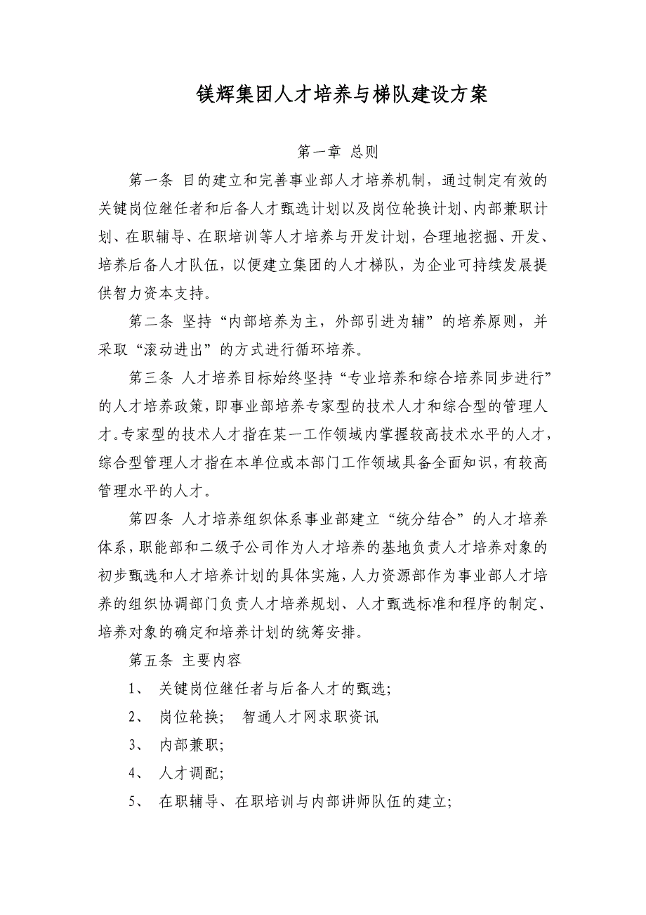 镁辉集团人才培养与梯队建设方案_第1页