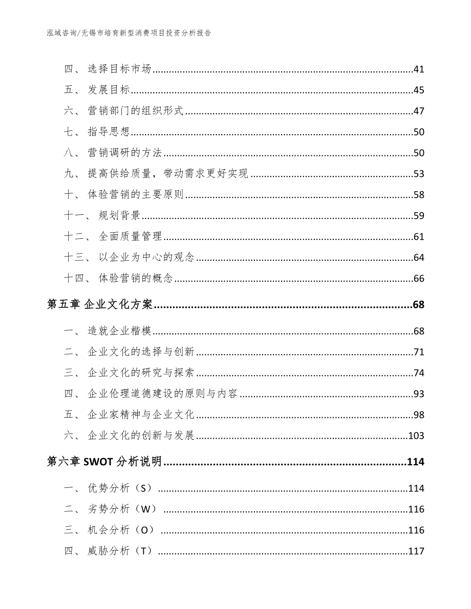 无锡市培育新型消费项目投资分析报告（范文参考）_第3页