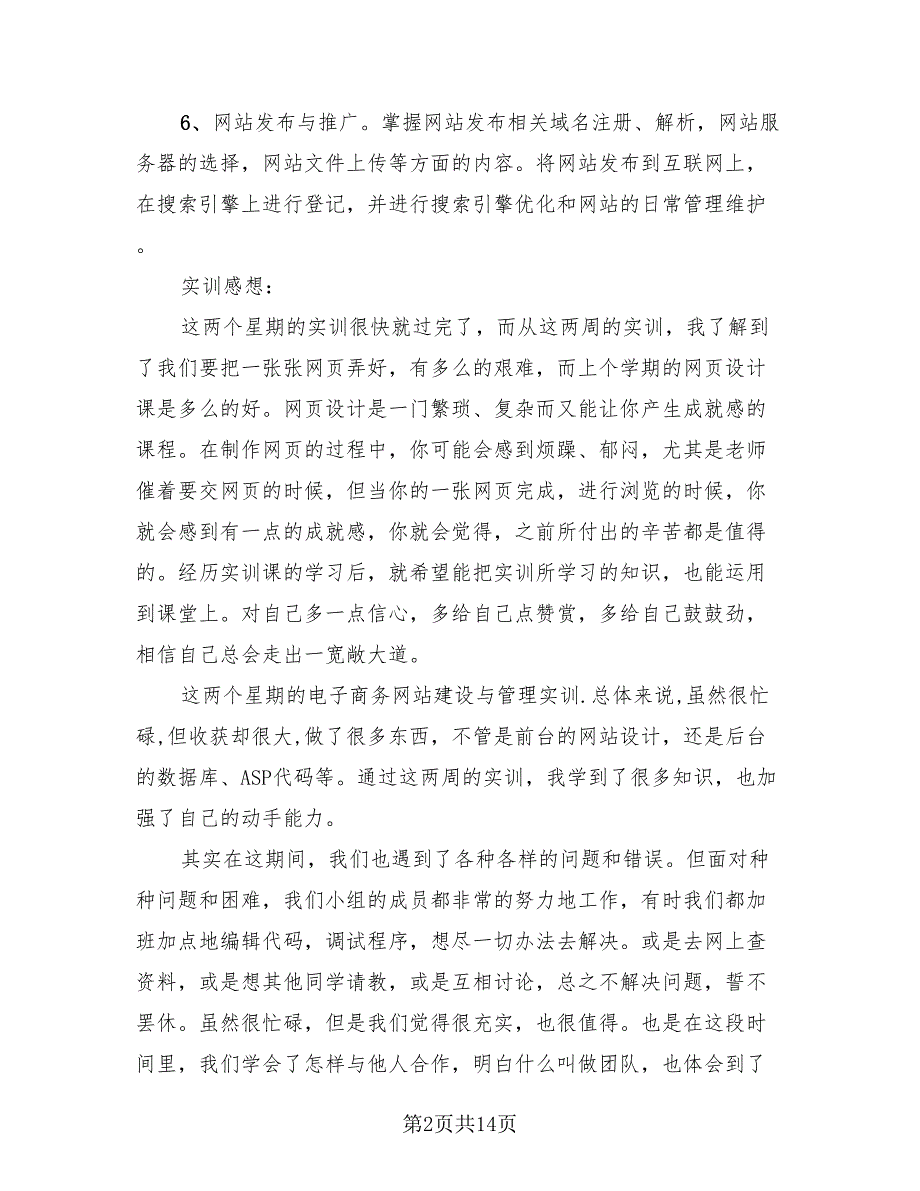 电子商务实训总结报告范文（4篇）.doc_第2页