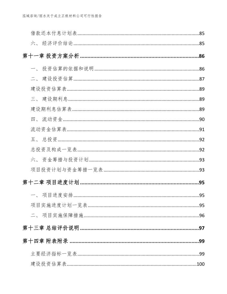 丽水关于成立正极材料公司可行性报告【范文模板】_第5页