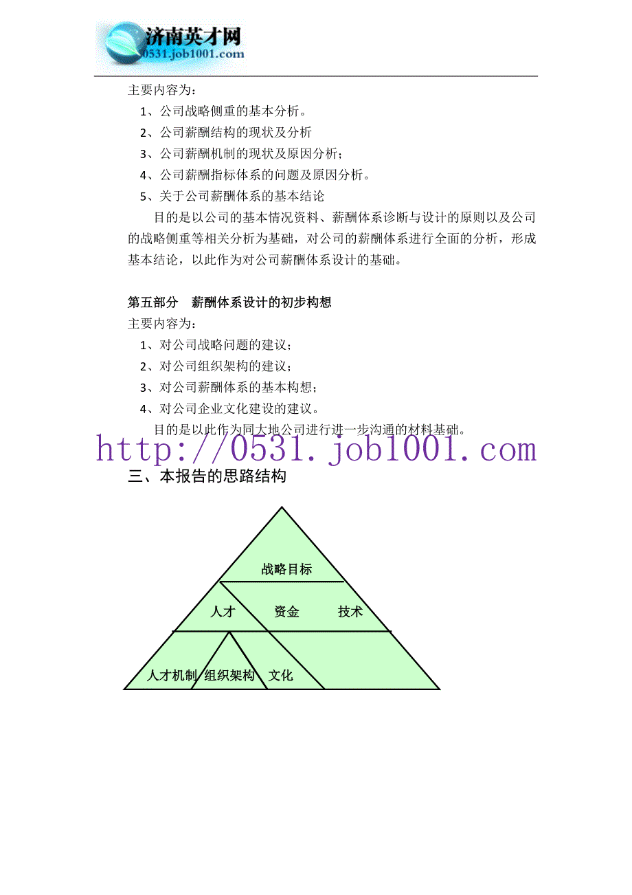 大地公司初步诊断报告_第3页