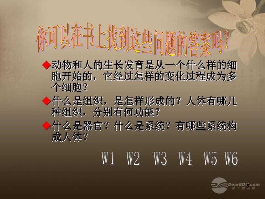 七年级生物上册第二节动物体的结构层次课件新人教版_第5页