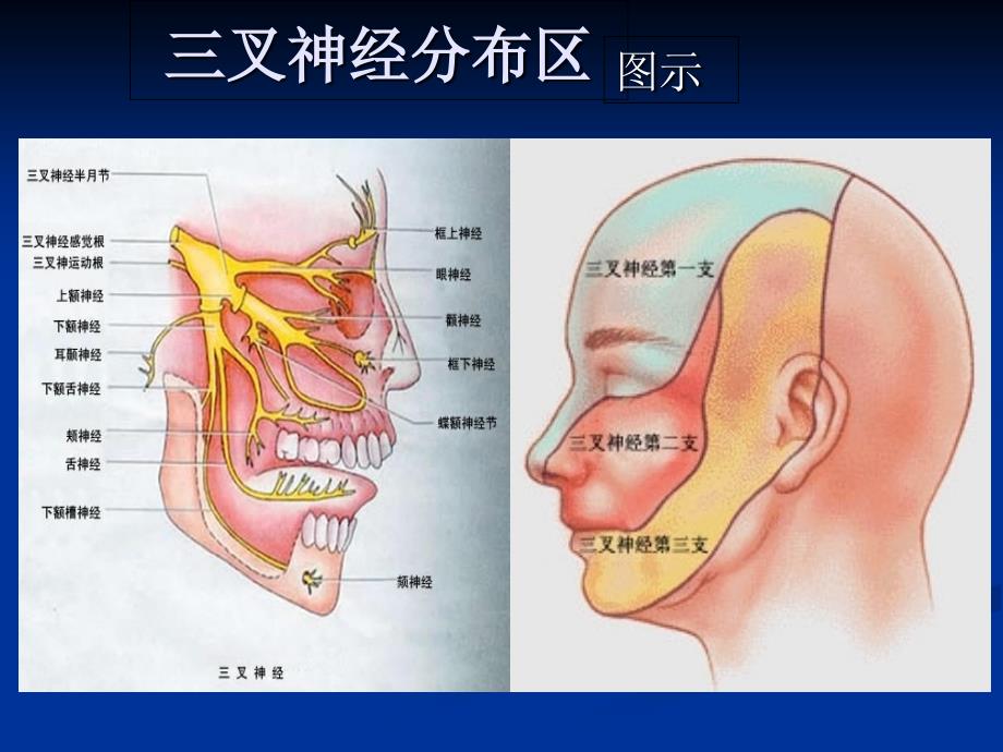 京城专治脸三叉神经痛的方法_第2页