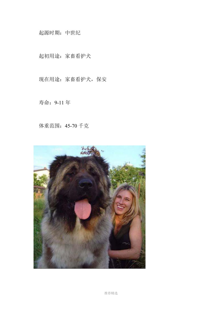 世界名犬大全_第4页