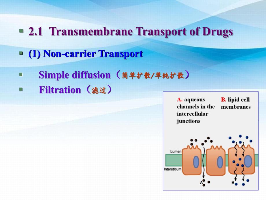 药物代谢动力学_第4页