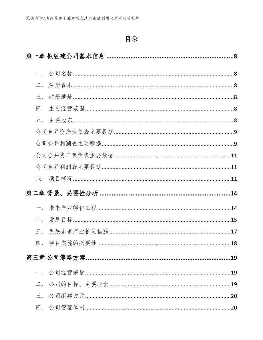 清徐县关于成立煤炭清洁高效利用公司可行性报告（范文）_第2页