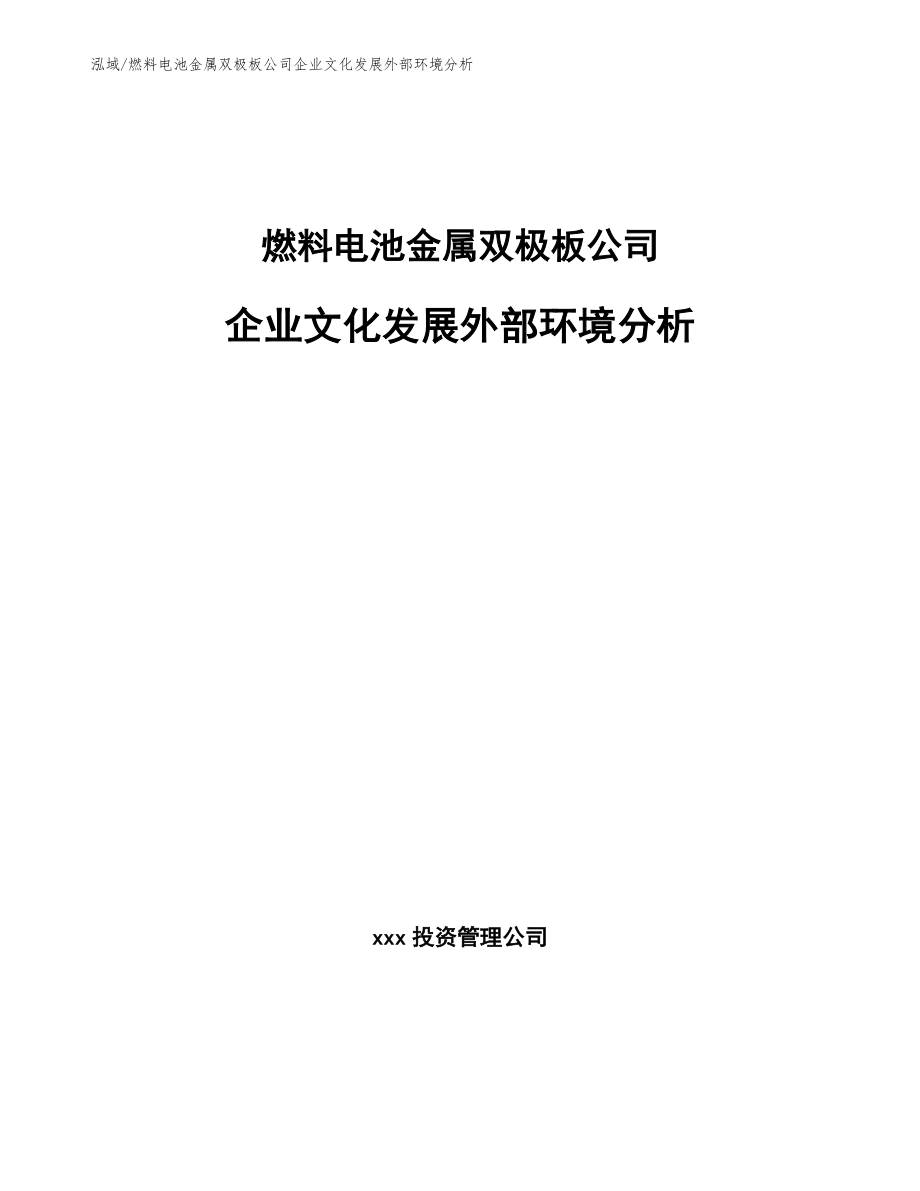 燃料电池金属双极板公司企业文化发展外部环境分析_参考_第1页