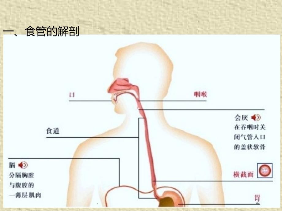 食管癌早中晚期临床表现医学PPT课件_第2页