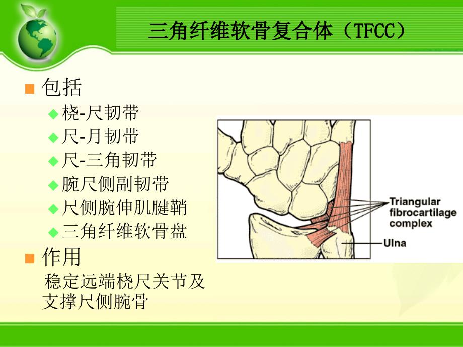 腕关节骨折PPT课件_第4页