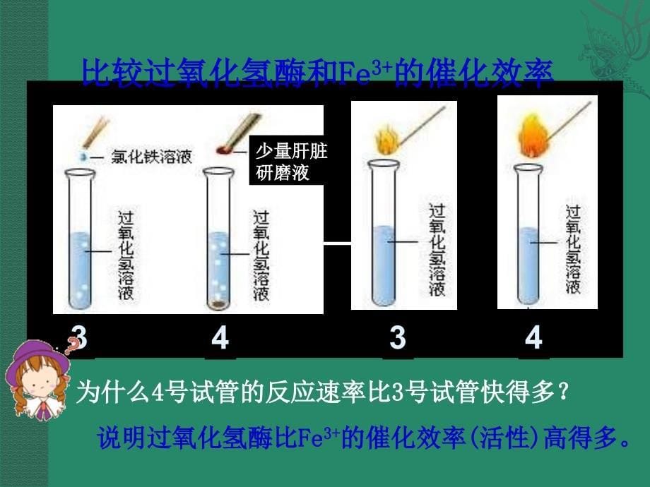 精品课件112酶的特性_第5页