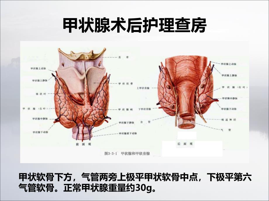 甲状腺术后护理查房-ppt课件_第4页