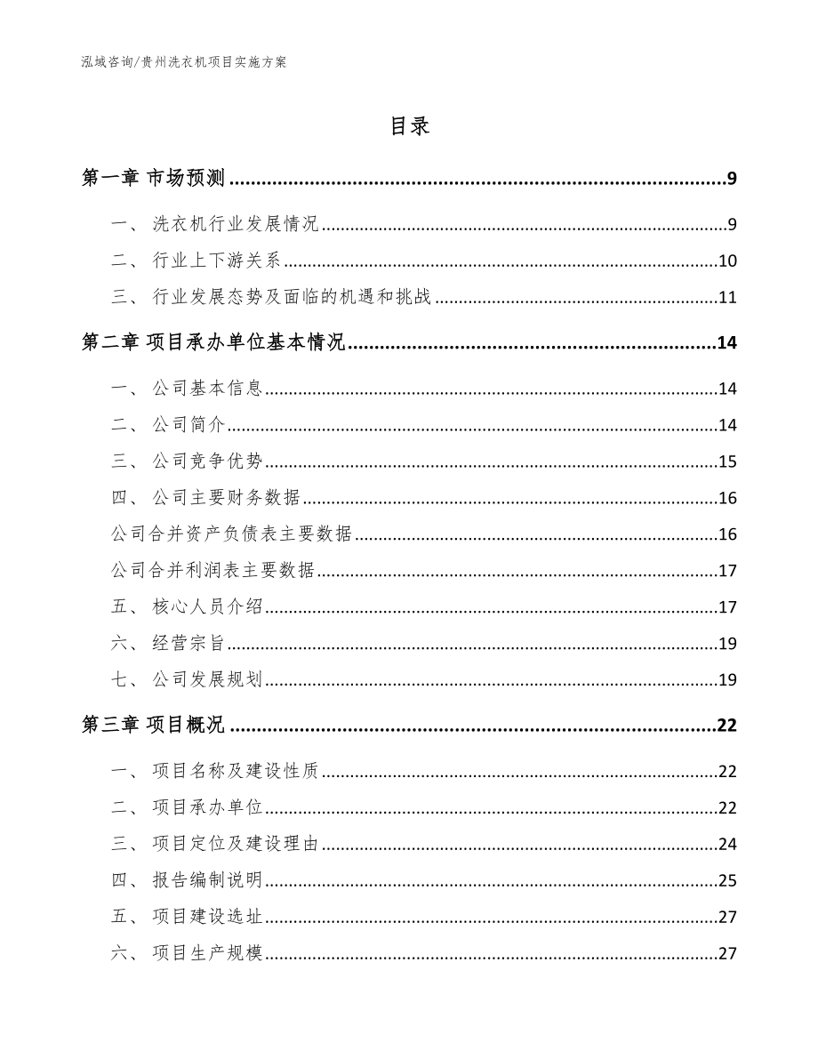 贵州洗衣机项目实施方案（范文参考）_第1页