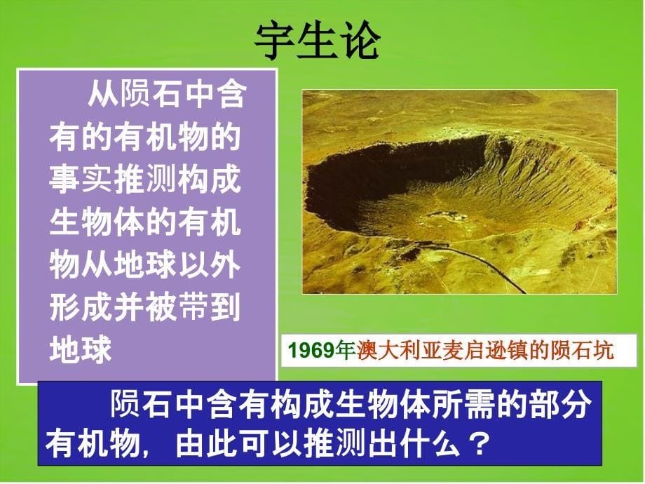 生命起源和生物进化_第5页