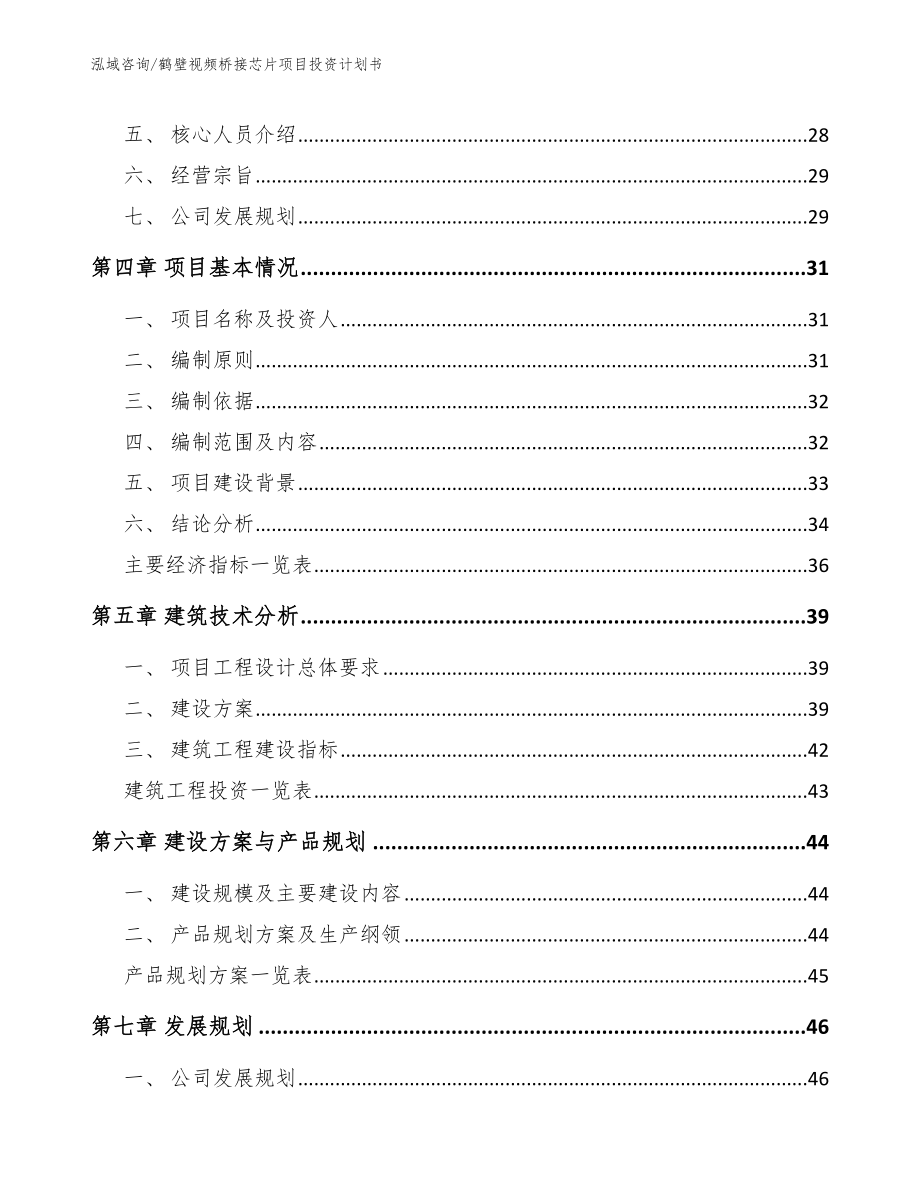 鹤壁视频桥接芯片项目投资计划书（范文模板）_第3页