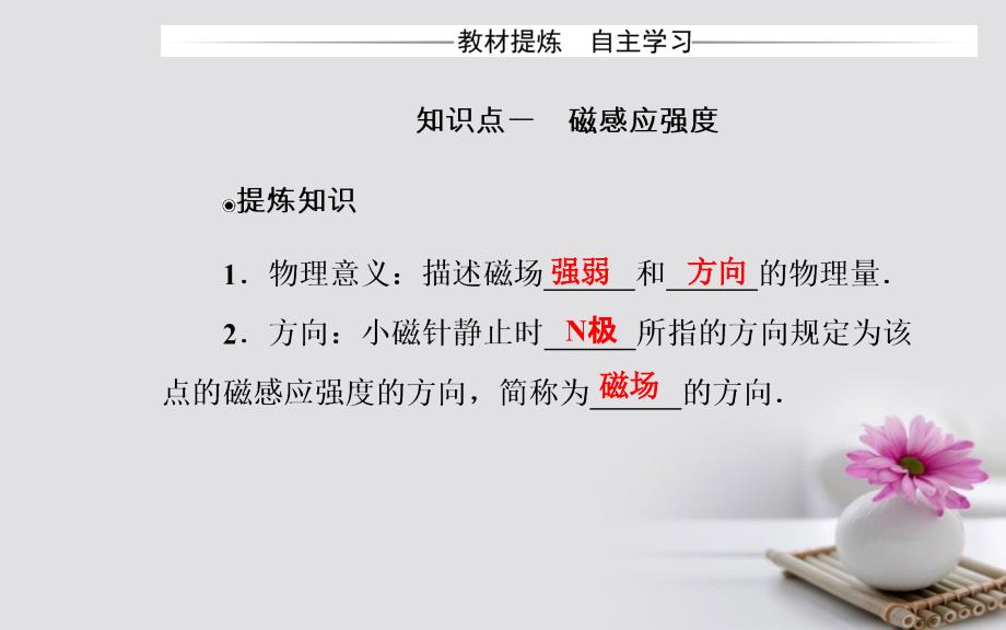 2017-2018学年高中物理 第三章 磁场 2 磁感应强度课件 新人教版选修3-1_第4页