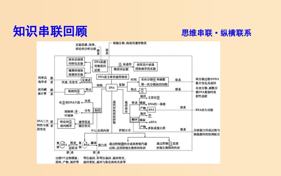 2019版高考生物二轮复习 第一部分 专题突破 专题六 遗传的分子基础课件.ppt_第4页