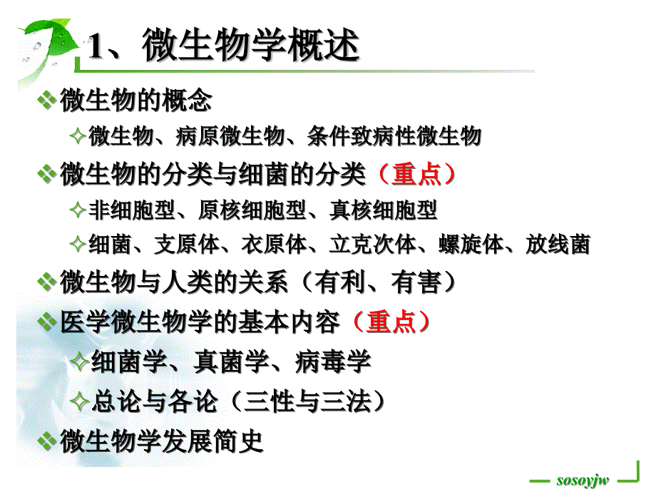 微生物复习与总结ppt课件_第2页