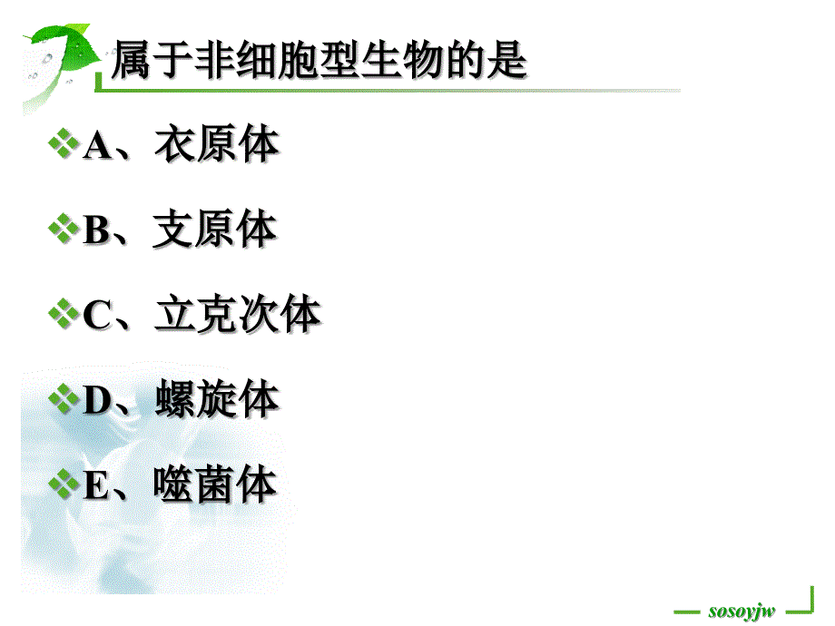 微生物复习与总结ppt课件_第3页