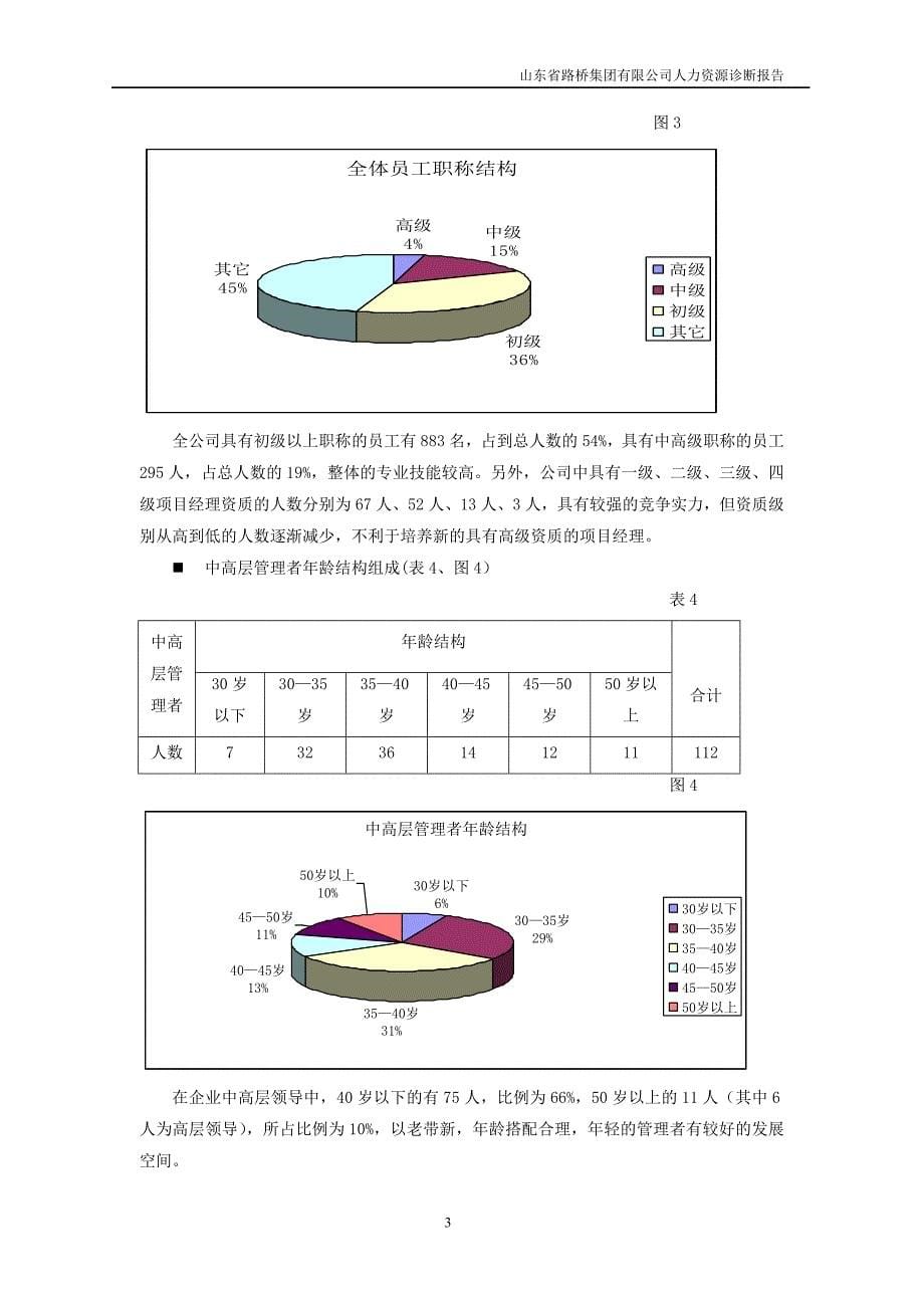 人力资源诊断报告书_第5页