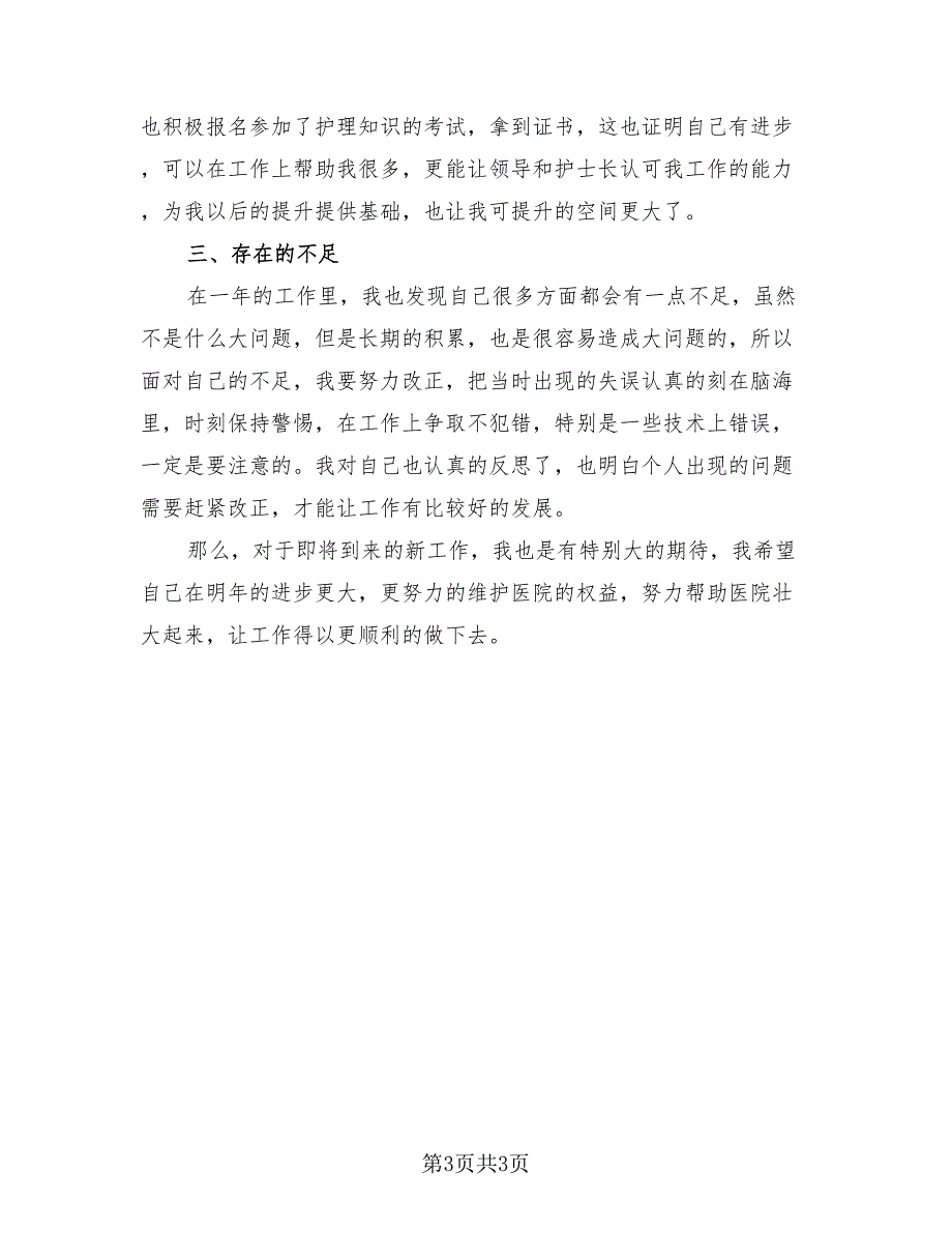 护士年终工作总结2023个人（2篇）.doc_第3页