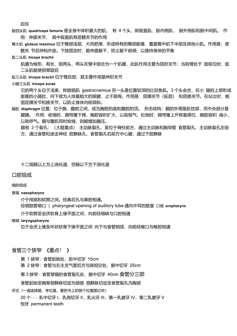 系统解剖学心得体会笔记讲解_第4页