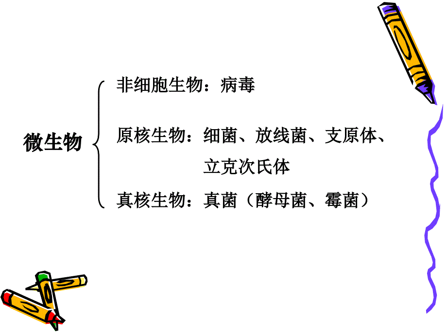 微生物培养技术.ppt_第2页