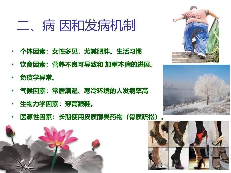 退行性骨关节病健康讲座_第5页