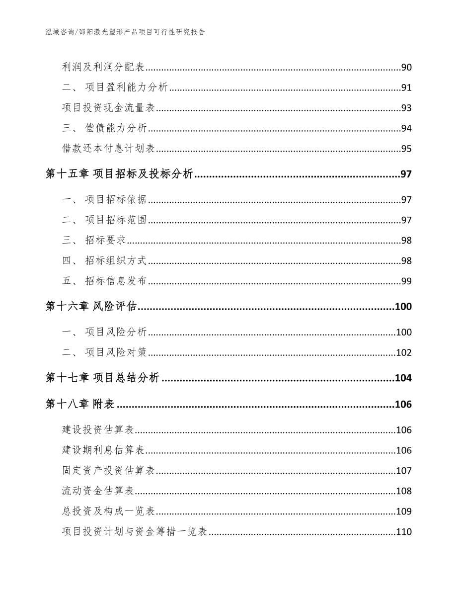 邵阳激光塑形产品项目可行性研究报告_第5页