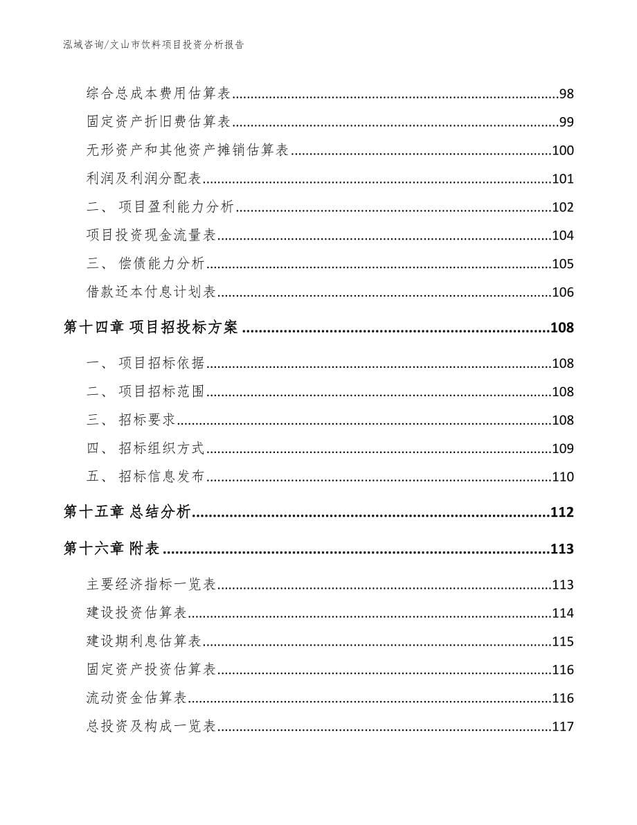 文山市饮料项目投资分析报告参考范文_第5页