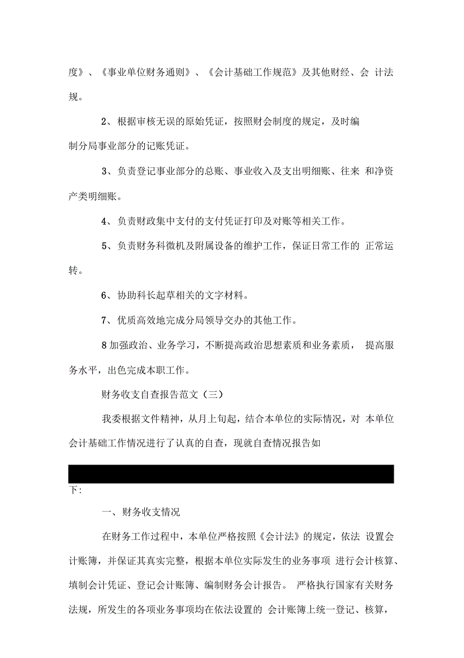 财务收支自查报告_第4页