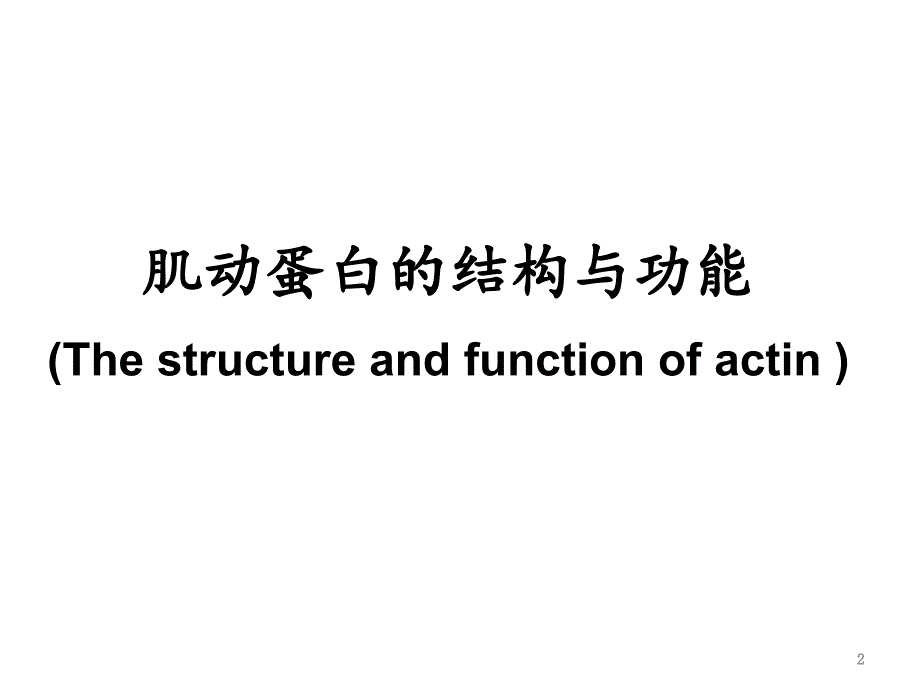 肌动蛋白的结构与功能PPT精品文档_第2页