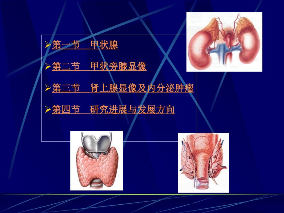 内分泌系统核医学_第2页