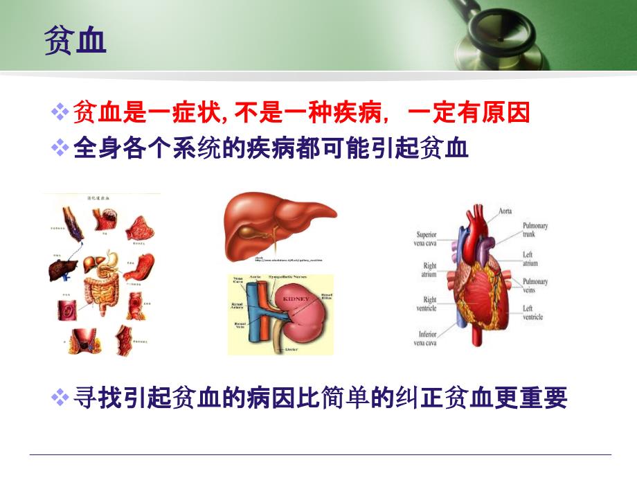 贫血的鉴别诊断_第3页