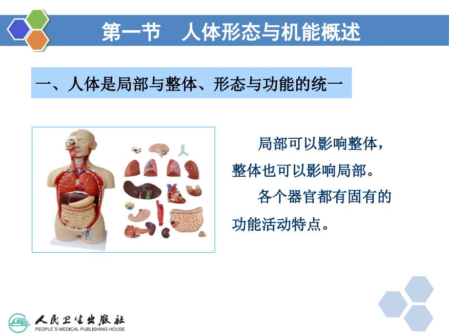 健康管理师第二章医学基础知识ppt课件.ppt_第3页