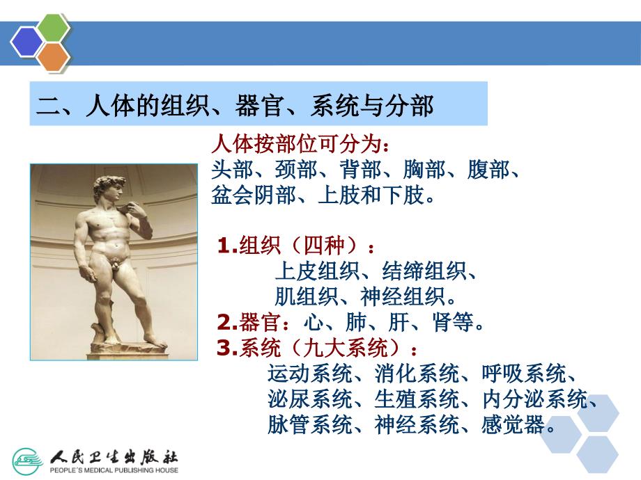 健康管理师第二章医学基础知识ppt课件.ppt_第4页