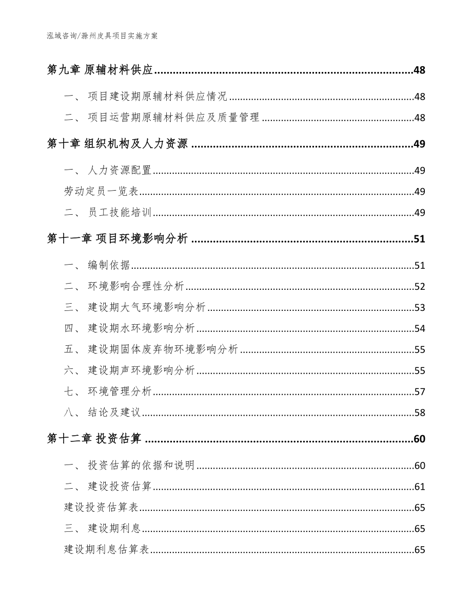 滁州皮具项目实施方案范文_第3页