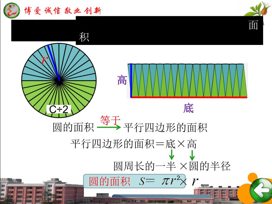 圆的面积 (5)_第3页