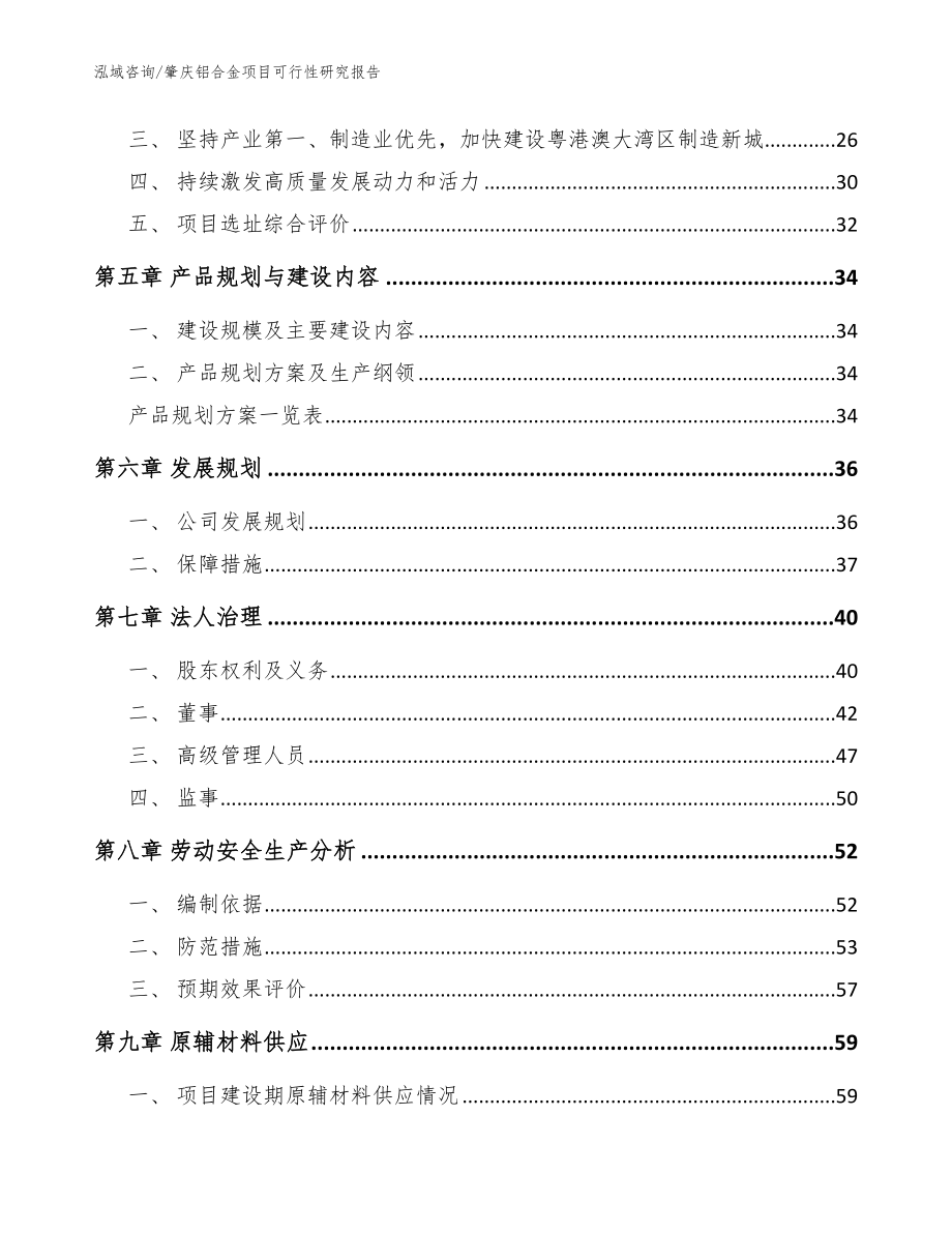 肇庆铝合金项目可行性研究报告（模板参考）_第2页